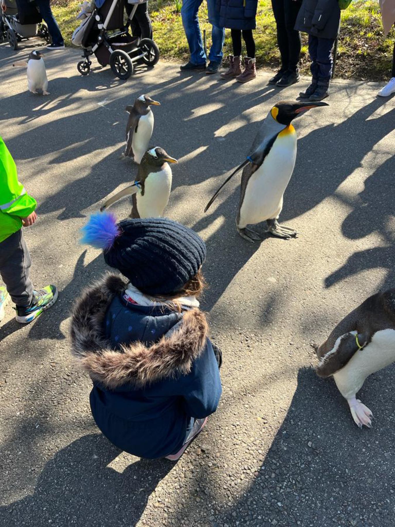 Kids Camp Zoo Penguin